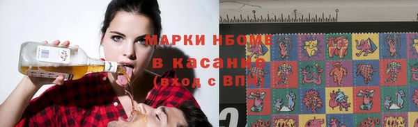молекула духа Козловка