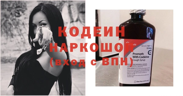 молекула духа Козловка