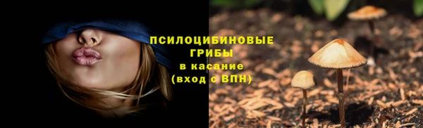 молекула духа Козловка