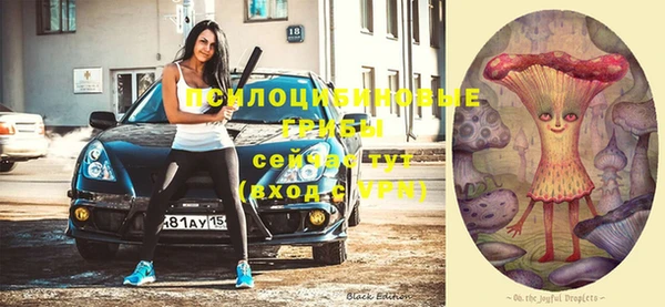 метадон Козельск