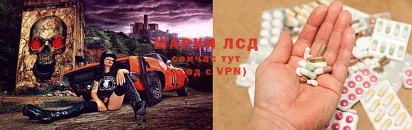 молекула духа Козловка