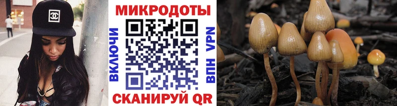 Галлюциногенные грибы GOLDEN TEACHER  Дыгулыбгей 